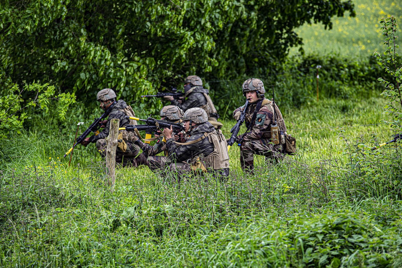 Le RIMA , Champagné - Image 7