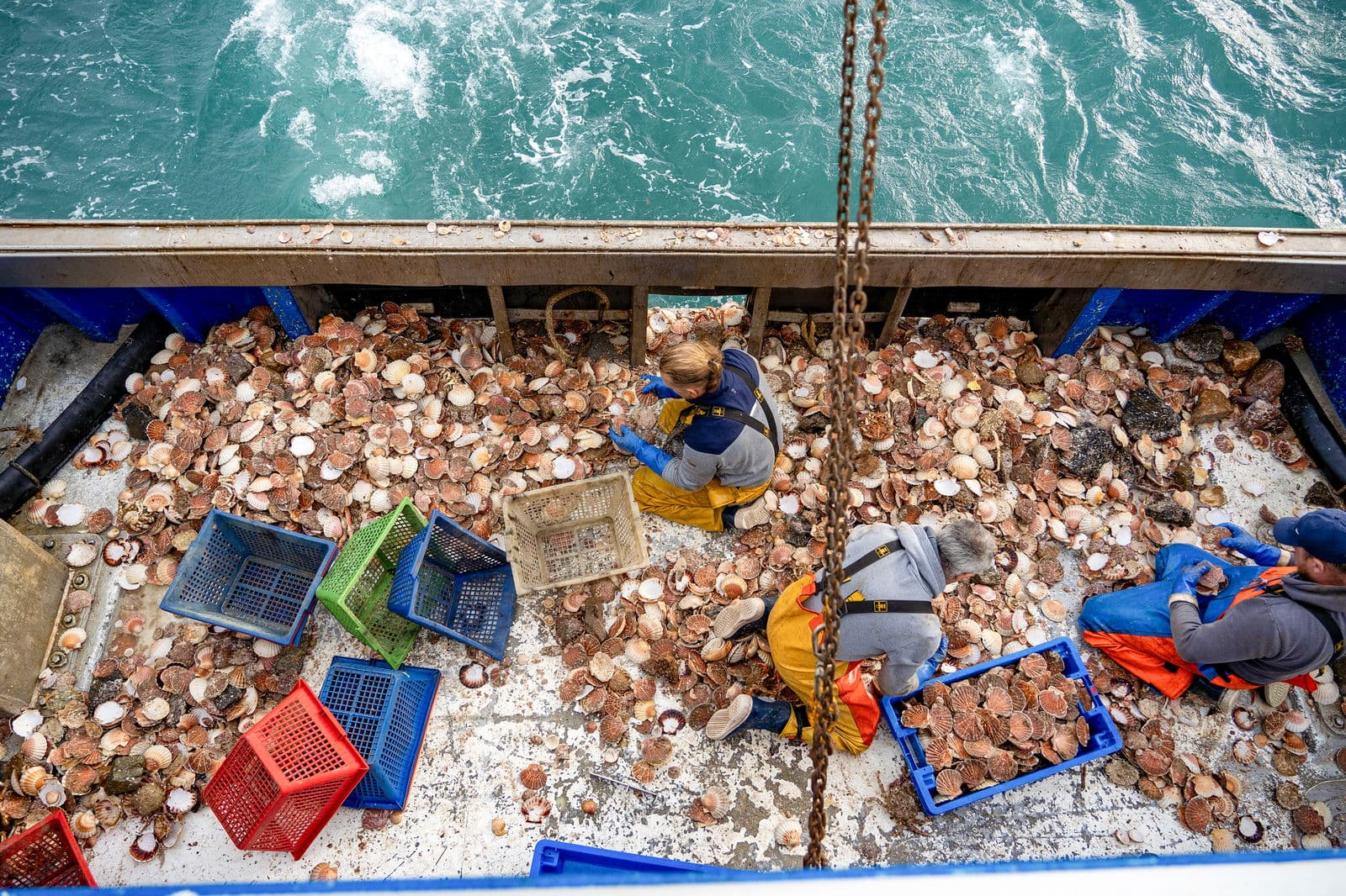 Entreprise Mickael Rault - Image 3