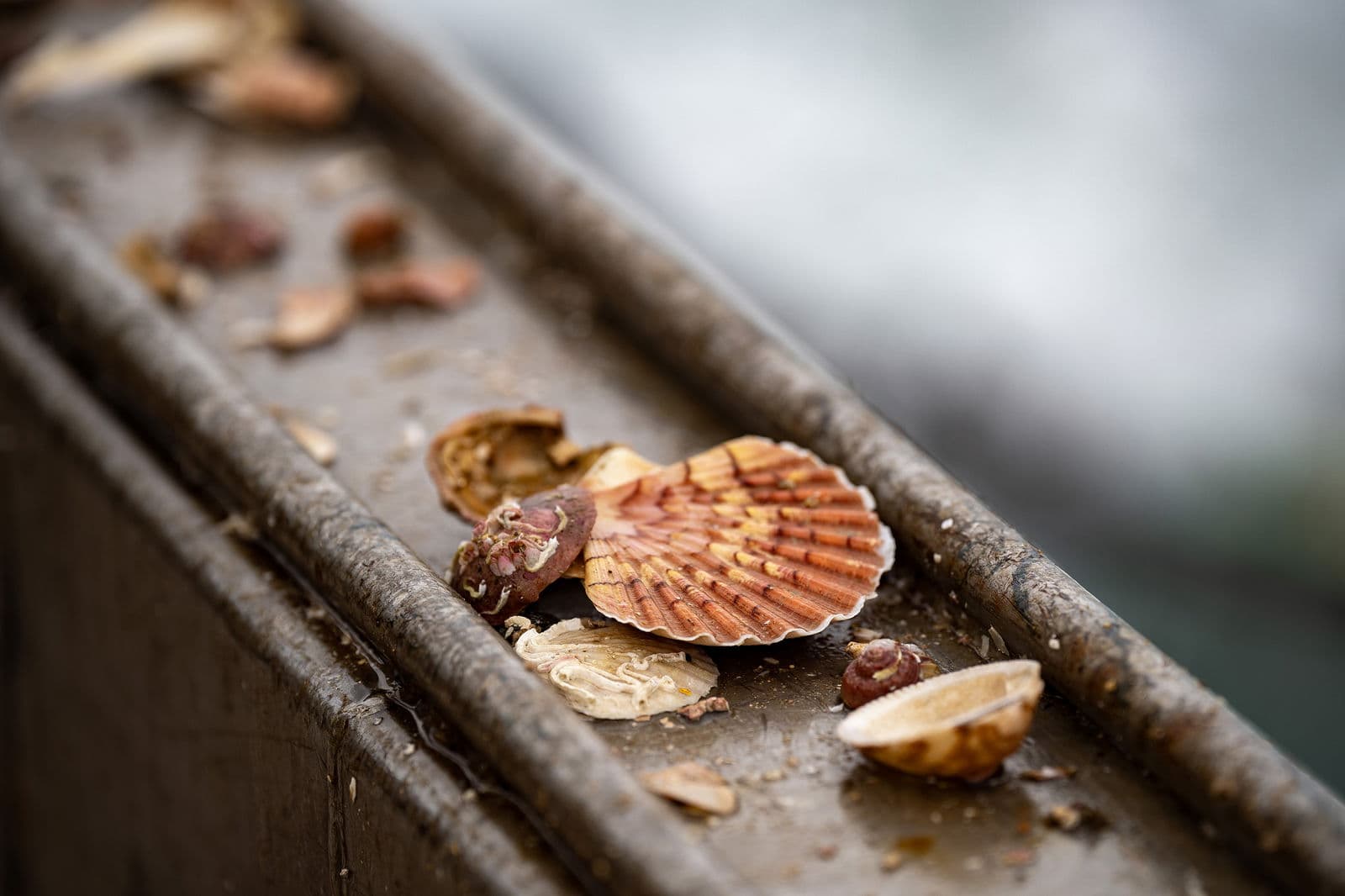 Entreprise Mickael Rault - Image 1